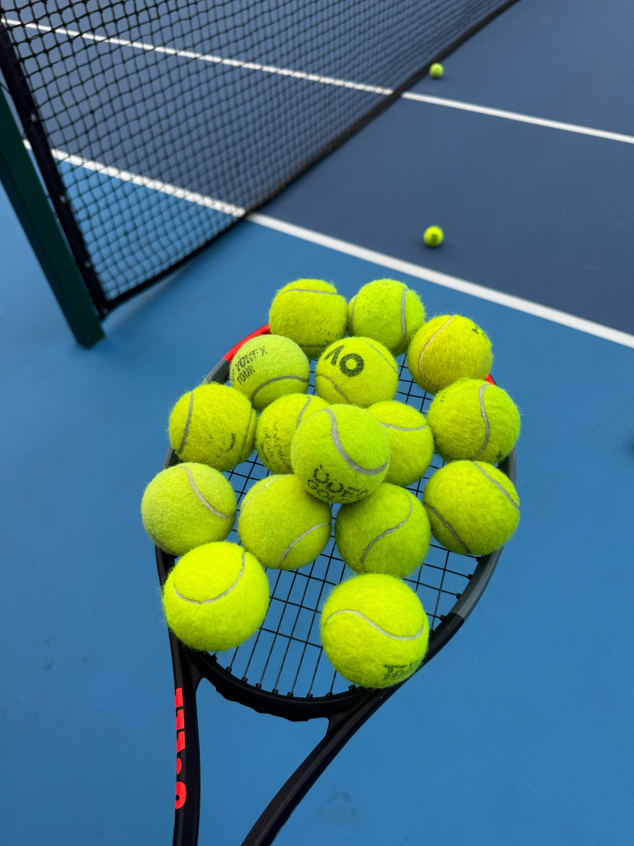 应用包括智 应用包括智