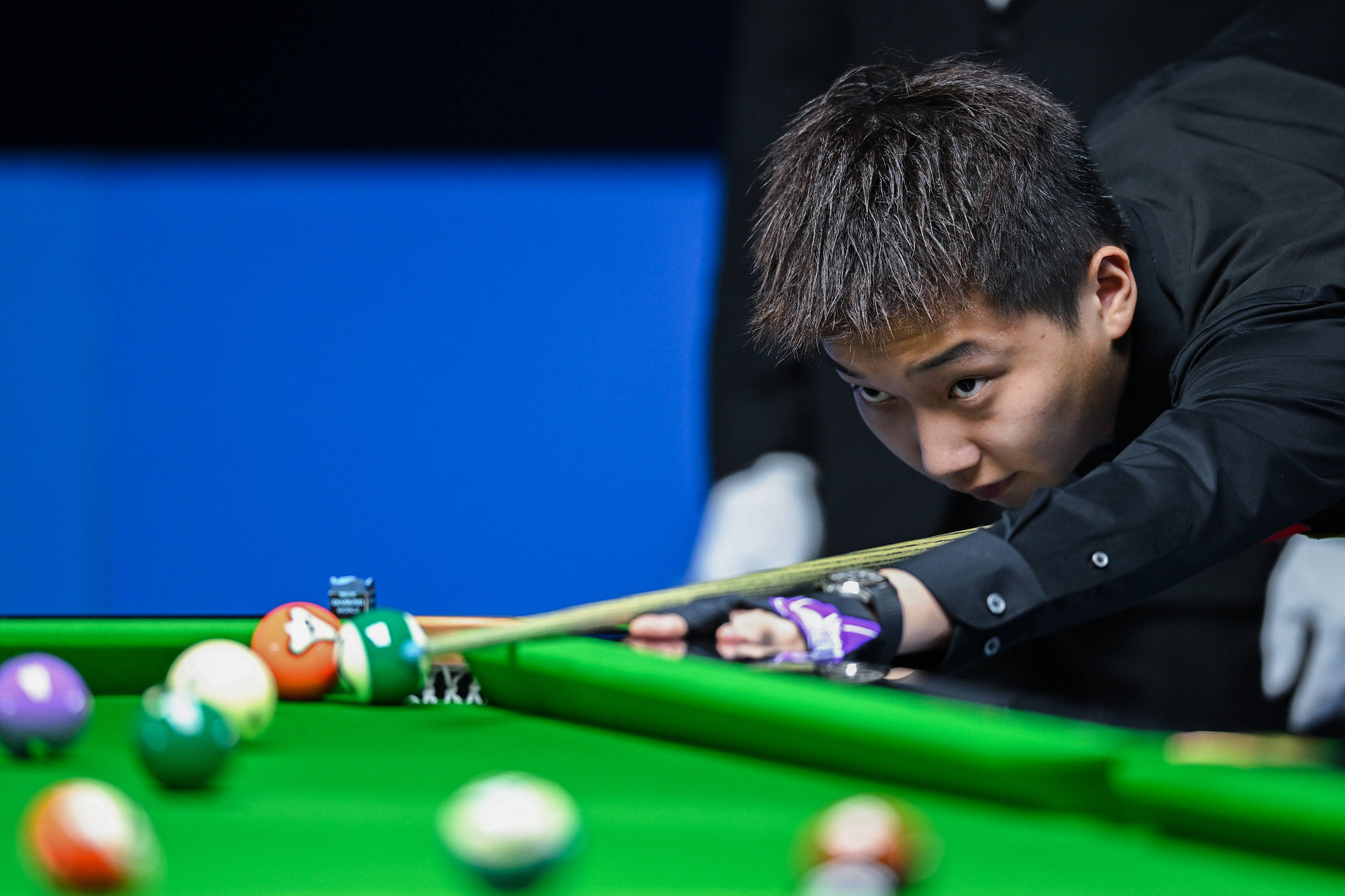 母哥去留的 母哥去留的