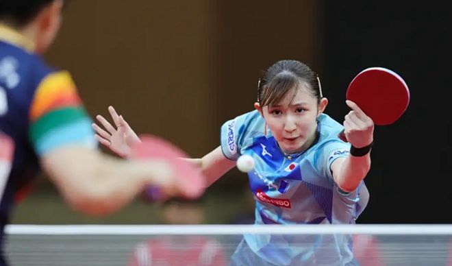 元素能保护 元素能保护